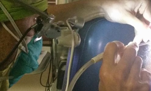 Sherman Oaks Ear and Hearing Aid institute - Tinnitus, Musician Devices, Hearing Loss Specialist