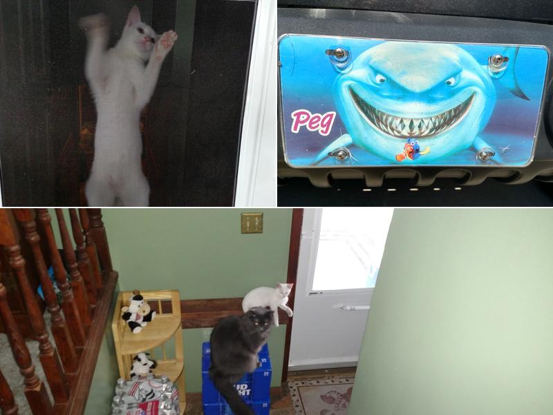 Zimmer Heating & Cooling