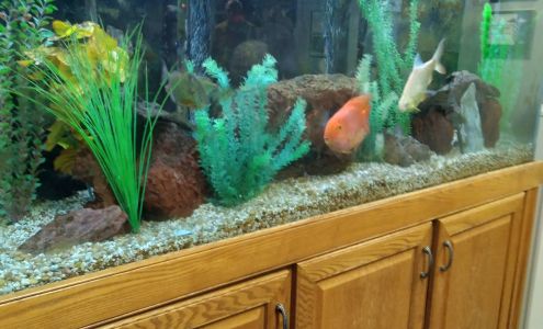 The Clifton Park Atrium