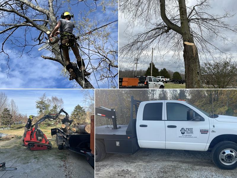 Tree Fellers LLC