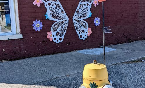 Everlastings Flowers & Gifts 589 Campbell St, Lucknow Ontario N0G 2H0