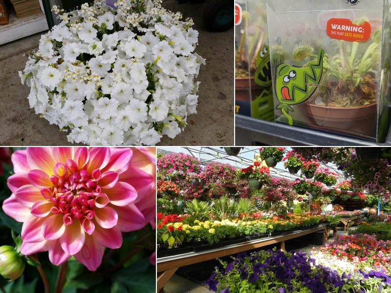 Tony's Garden Center