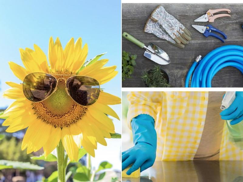 Walmart House Cleaning Services