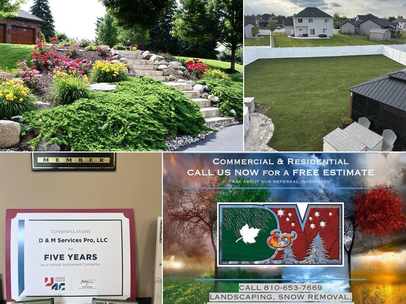 D&M Services Pro LLC