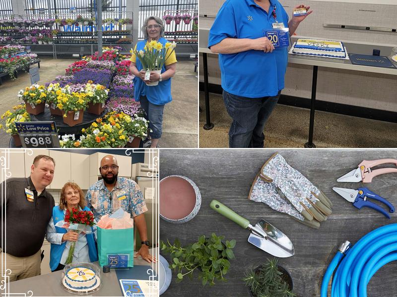 Walmart Patio & Garden Services