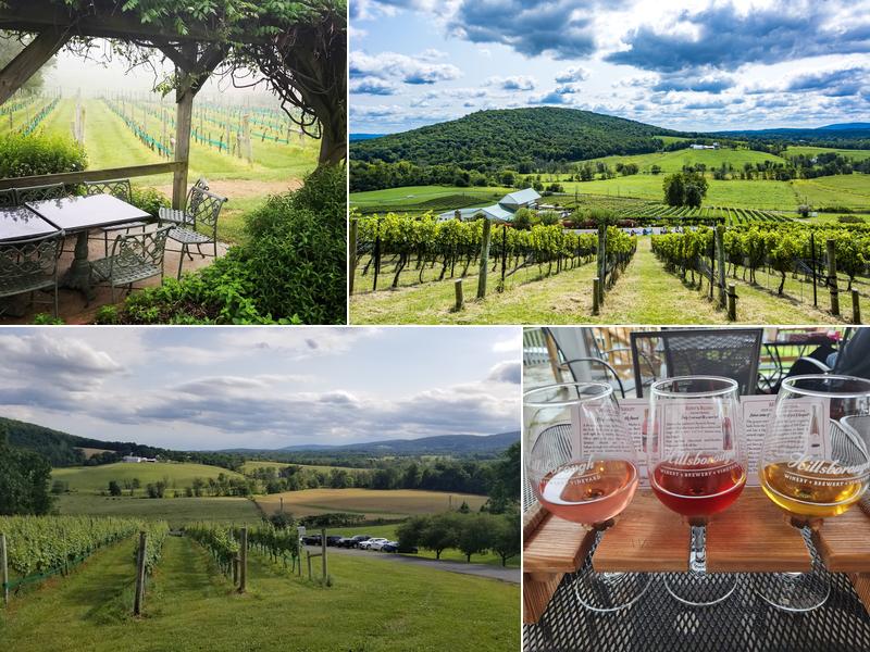 Hillsborough Vineyards & Brewery