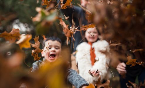 Heart Sung Photography