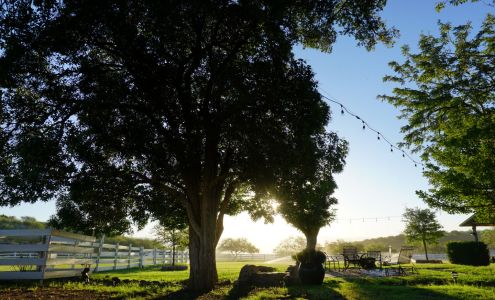 The Historic 3C Ranch Oracle