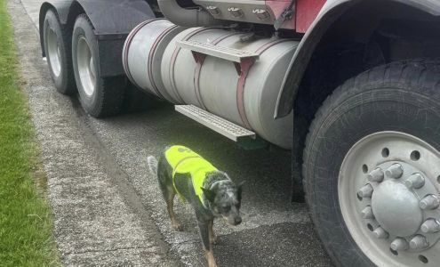 Jake's Excavating & Landscaping 5091 F, 30, Glennie Michigan 48737