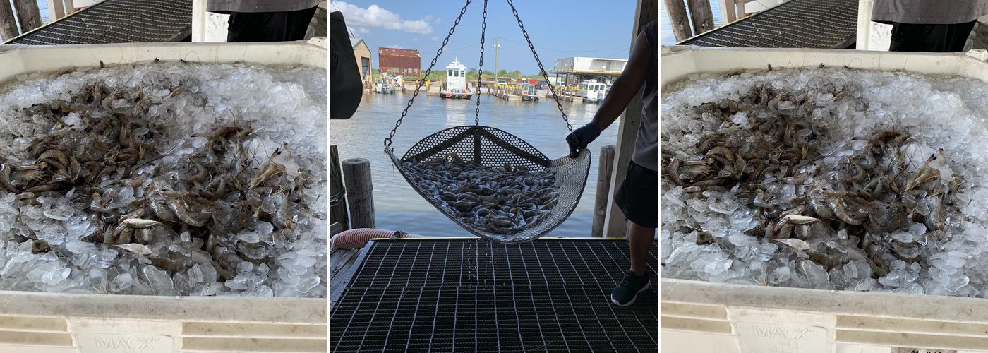 Chris Hansen Seafood