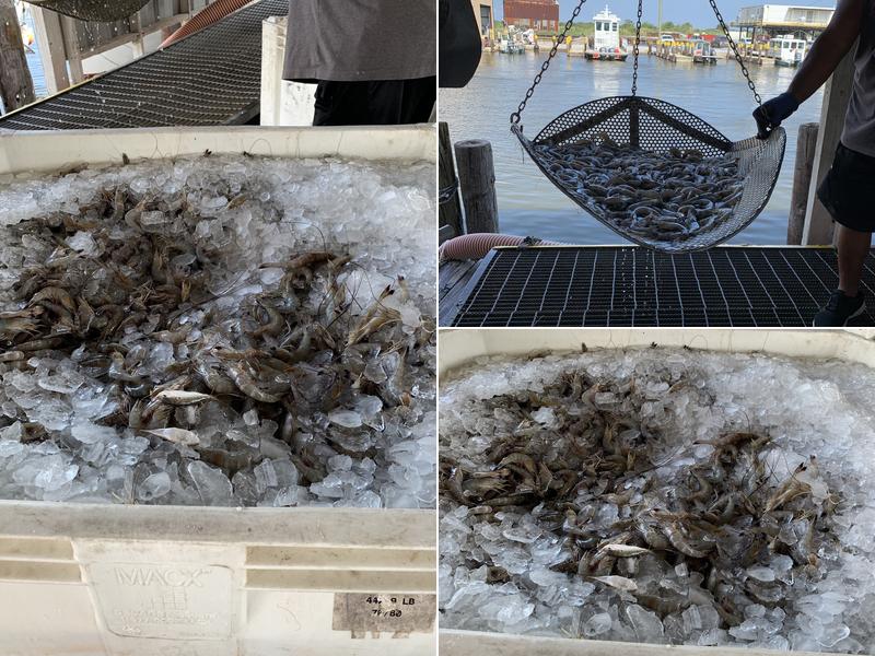 Chris Hansen Seafood