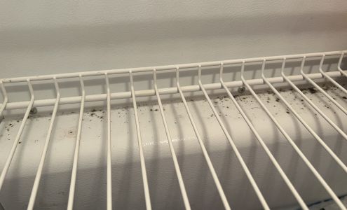 Wonus Cleaning 26275 H-Drive S, Homer Michigan 49245