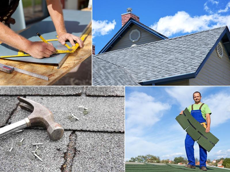 Professional Roofing Experts