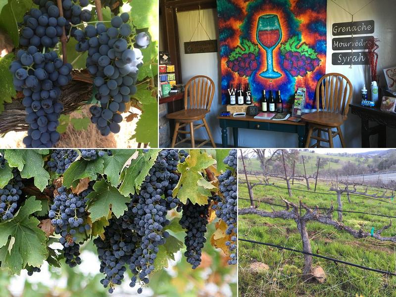Wine Tree Farm & Corinne Wines