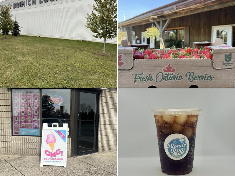 OMG Ice Cream & Frozen Treats