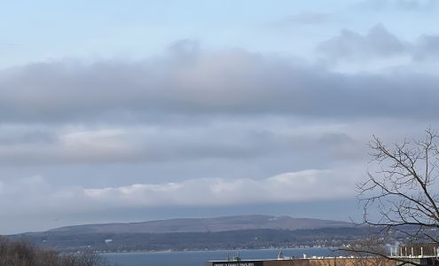 All and One Hardwood Floors Tlhwfloors.com, Mancelona Michigan 49659