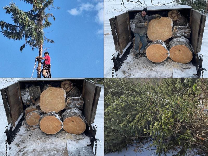 Bay Mountain Tree Services