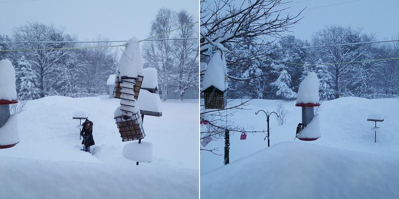 M & V Home Improvements