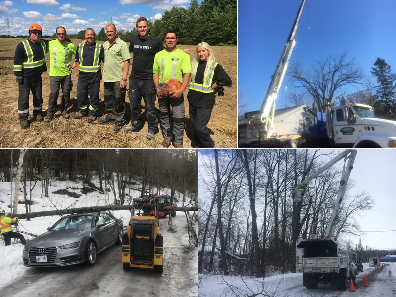 Sugar Bush Tree Service