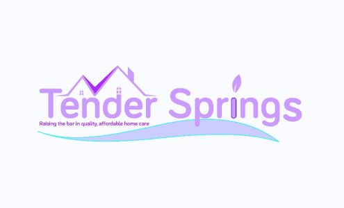 TS3 Chimney Inspection & Chimney Cleaning Services , MA