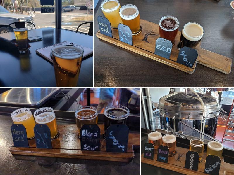 Skint Chestnut Brewing Company