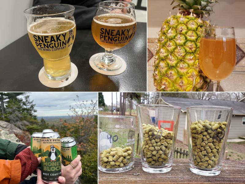 Sneaky Penguin Brewing Company