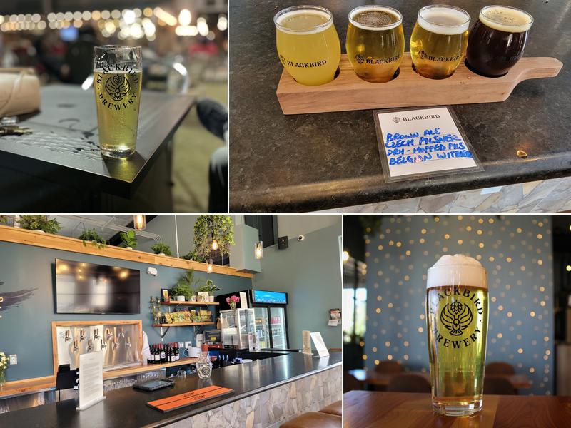 Blackbird Brewery 3608 Rogers Branch Rd #101, Wake Forest