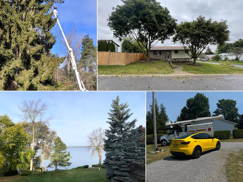 Flynn Forestry and Tree Services