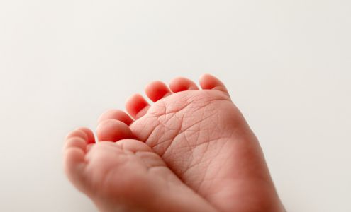 One Good Shot Photography