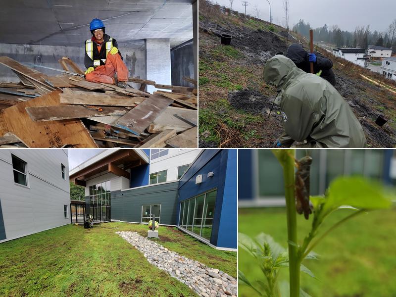 Cleaning Hands Cleaning Company