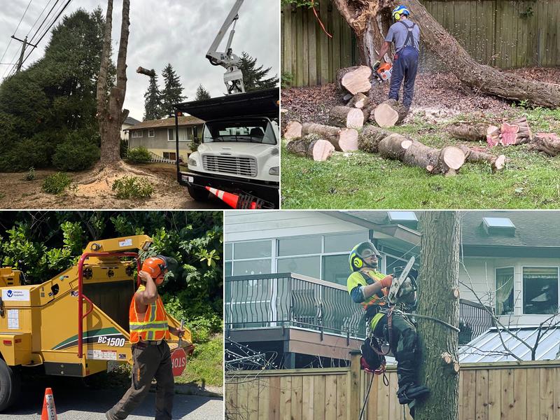 A1 Tri Craft Tree Services