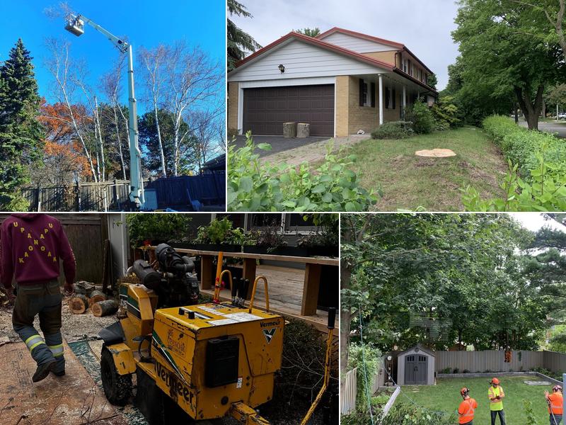 Upanoak Tree Care Inc.