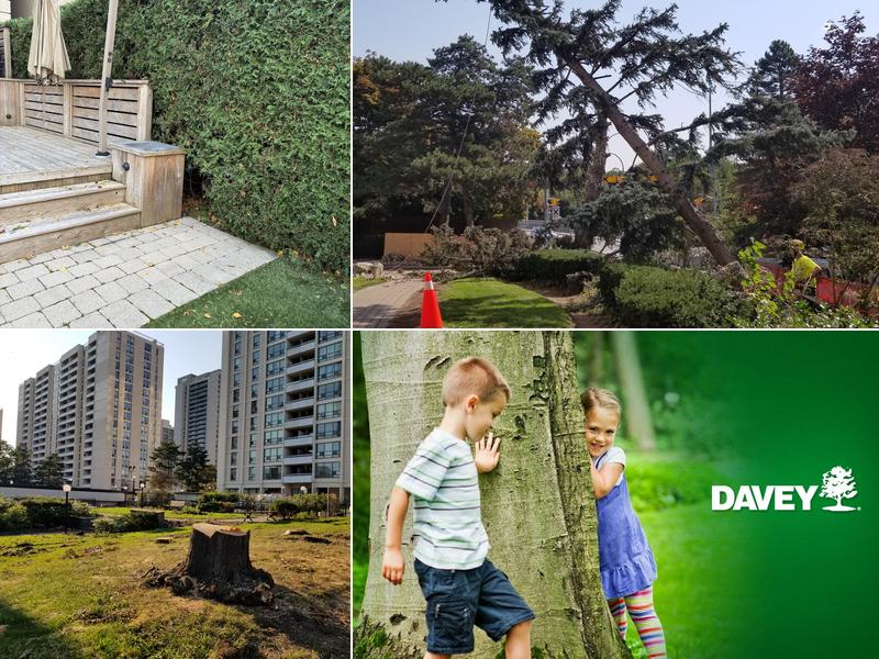 Davey Tree Expert Co. of Canada, Limited