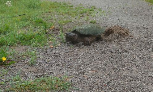 Lakefield Herald Ltd Lakefield