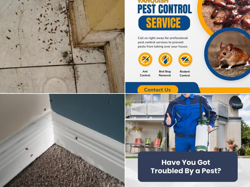 Vanquish Pest Control