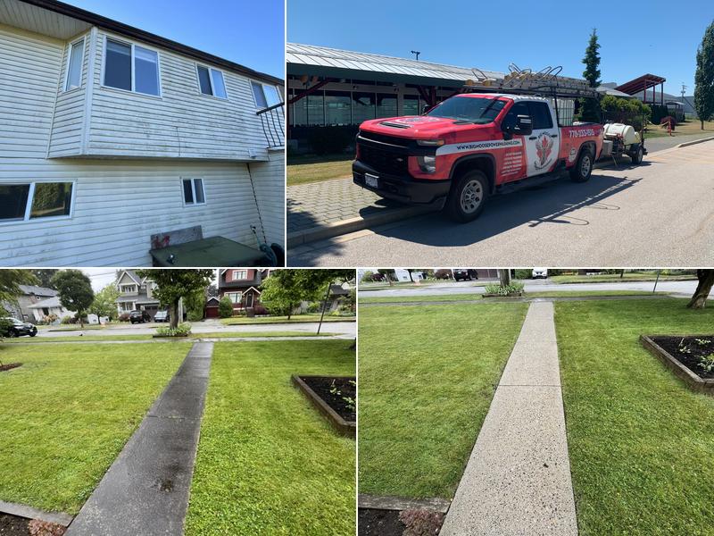 Big Moose Power Washing