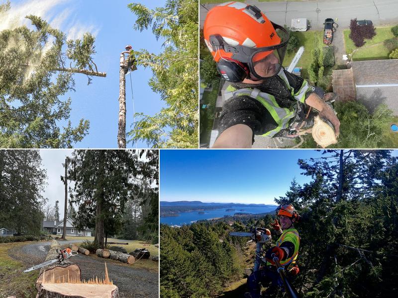 Flex Tree Service
