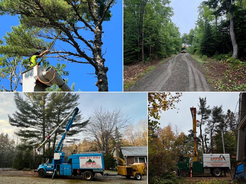 Amped Property Services