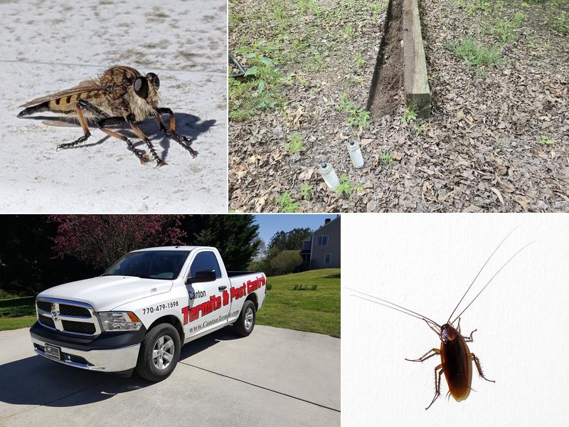 Canton Termite and Pest Control