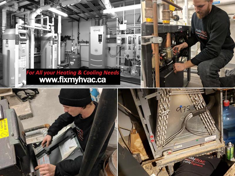 Evergreen Building Services Inc.