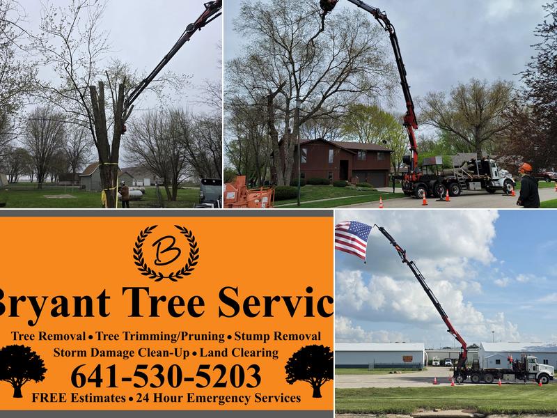 Bryant Tree Service