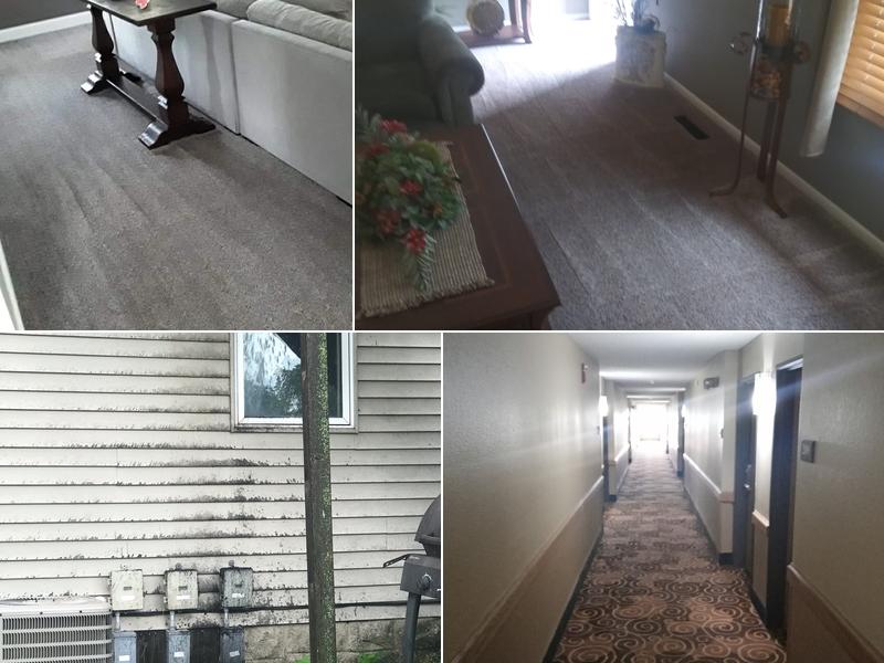 Barber's Premier carpet cleaning and home services