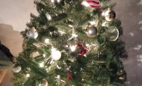 Nuehring's Lawn & Tree Service 302 W Gilman St, Sheffield Iowa 50475