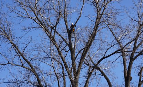 L'Ambassadeur de l'arbre Inc.