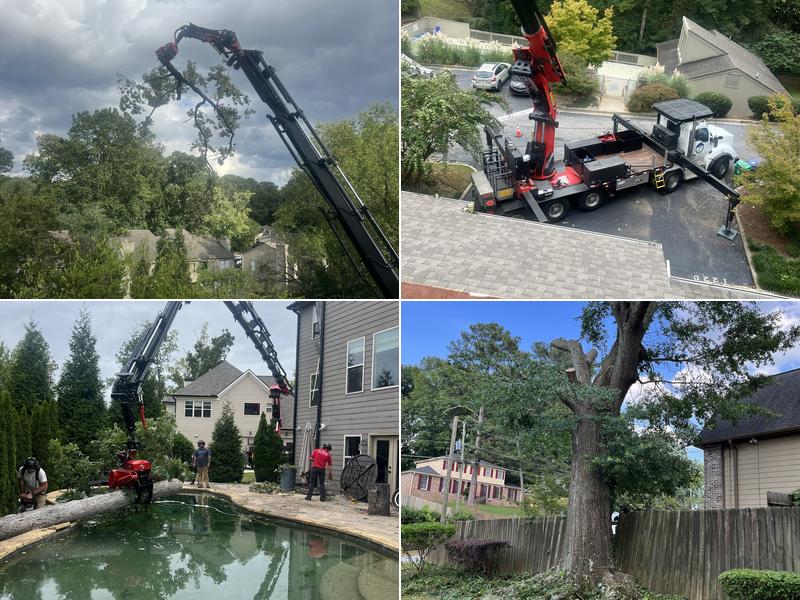 Atlanta Premier Tree Solutions