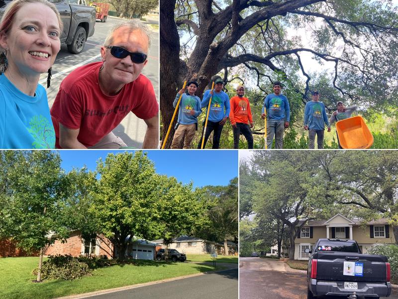 Good Morning Tree Service