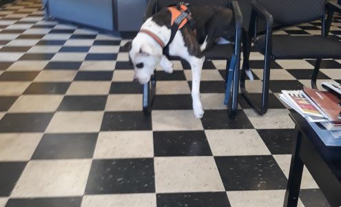 Good Year Eagle Rock