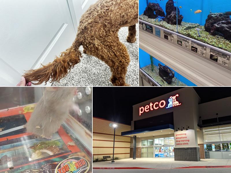 Petco