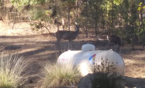 Greeley Hill Community Club Coulterville