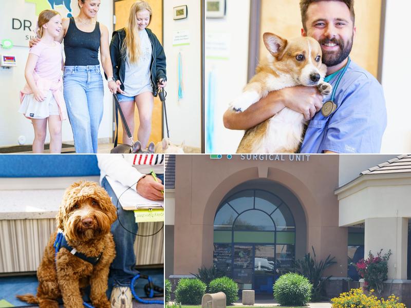 Dr. Kelly's Surgical Unit - North Phoenix